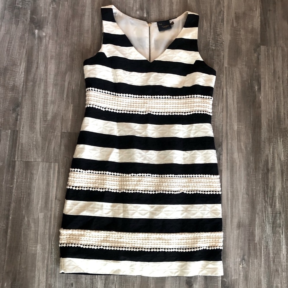 Just...Taylor Black & Cream Striped Lace Dress 10